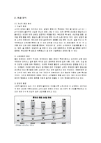 [마케팅] 웰빙소주 처음처럼의 마케팅전략-2