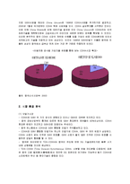 [마케팅] 애니콜의 중국진출 마케팅전략과 성공요인-4
