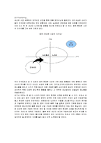 [마케팅] 애니콜의 중국진출 마케팅전략과 성공요인-10