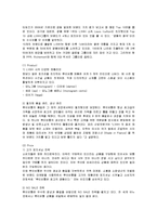 [경영전략] MCM의 마케팅과 새로운 전략방안-6