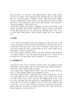 [인터넷] 인터넷의 정의, 발전, 구성, 특징, 기능과 인터넷의 현황, 인터넷의 문제점 및 향후 인터넷의 발전 방향 분석-7