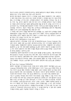 [인터넷] 인터넷의 정의, 발전, 구성, 특징, 기능과 인터넷의 현황, 인터넷의 문제점 및 향후 인터넷의 발전 방향 분석-13