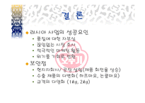 [국제마케팅] 오뚜기 마요네즈 러시아 진출기-13