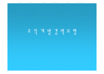 경력개발관리 레포트-17