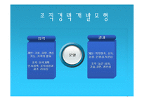 경력개발관리 레포트-18