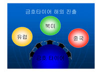 [국제경영] 금호타이어 해외진출-8