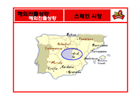 [국제경영] BBQ 비비큐 치킨 해외시장진출전략-16