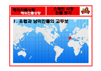 [국제경영] BBQ 비비큐 치킨 해외시장진출전략-17