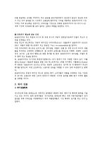 [국제경영] 금호타이어 해외진출-8