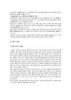 [국제경영] 금호타이어 해외진출-10