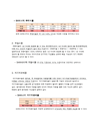 SK에너지 기업분석-10