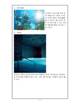 [여행사경영론] 한국형 크루즈 상품-7