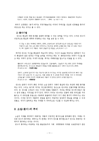 [문학] 남정현의 소설 `분지` 작품분석-11