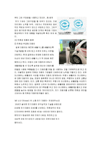 [환경오염] 일본의 친환경 및 환경오염-17