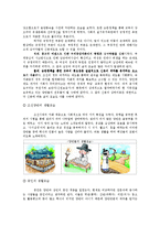 [발달심리학] 20대 초반, 그들의 삶-2