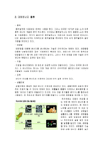 [환경오염] 미국의 친환경 및 대체에너지-16
