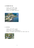 [경제 지리학] 세계화 추세속의 지방화 -제주특별자치도의 사례를 중심으로-17