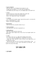 PIAGET 피아제의 인지 발달 이론-2