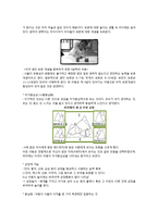 PIAGET 피아제의 인지 발달 이론-5