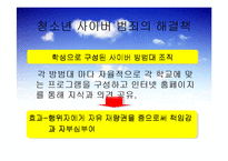 청소년 사이버 범죄와 해결책-14