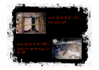 [성격심리학] 반사회적 성격장애-18