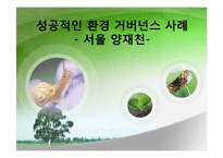 [환경행정] 성공적인 환경 거버넌스 사례 -서울 양재천-1