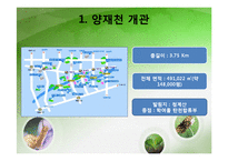 [환경행정] 성공적인 환경 거버넌스 사례 -서울 양재천-7