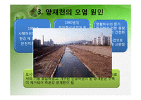 [환경행정] 성공적인 환경 거버넌스 사례 -서울 양재천-9