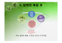 [환경행정] 성공적인 환경 거버넌스 사례 -서울 양재천-10