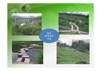 [환경행정] 성공적인 환경 거버넌스 사례 -서울 양재천-12