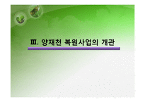 [환경행정] 성공적인 환경 거버넌스 사례 -서울 양재천-13