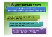 [환경행정] 성공적인 환경 거버넌스 사례 -서울 양재천-14
