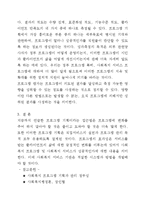 [사회] 사회복지 실천 프로그램의 방법-3