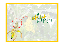 [마케팅] 바나나는 원래 하얗다 마케팅전략-1