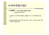 니치마케팅 레포트-3