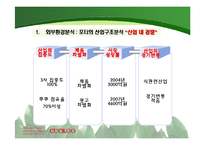 [국제경영전략] 쿠쿠 홈시스 쿠쿠홈시스 경쟁우위 기술과 성공적 마케팅의 핵심역량-17