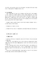 [경영학] 기업의 현지화 성공, 실패 사례와 적절한 현지화 전략-5