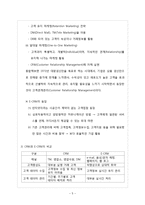 [경영학] E-CRM에 대하여-5