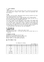 투자은행 레포트-1