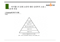 [사회심리학] 싸이월드를 통해서 본 한국인의 심리-13