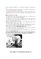 [정치학] 정치광고와 이미지 정치-5