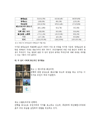 [정치학] 정치광고와 이미지 정치-9