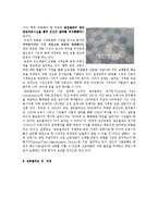 [도시행정론] 서울숲, 센트럴 파크-15