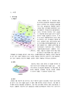 [지역사회복지론] 뉴타운 개발계획에 따른 부천시 오정구의 지역주민 소외문제-3