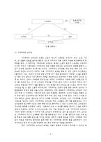 [일본 근현대소설] 가와바타 야스나리 `설국`의 주제의식-2