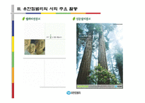 [경영학] 유한 킴벌리 경영 사례-18