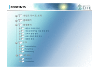 [마케팅개론] 세컨드 라이프 마케팅전략-1