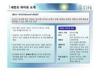 [마케팅개론] 세컨드 라이프 마케팅전략-3