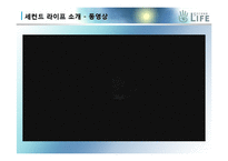 [마케팅개론] 세컨드 라이프 마케팅전략-4