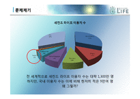 [마케팅개론] 세컨드 라이프 마케팅전략-6
